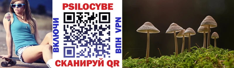 Псилоцибиновые грибы Cubensis  Камешково 